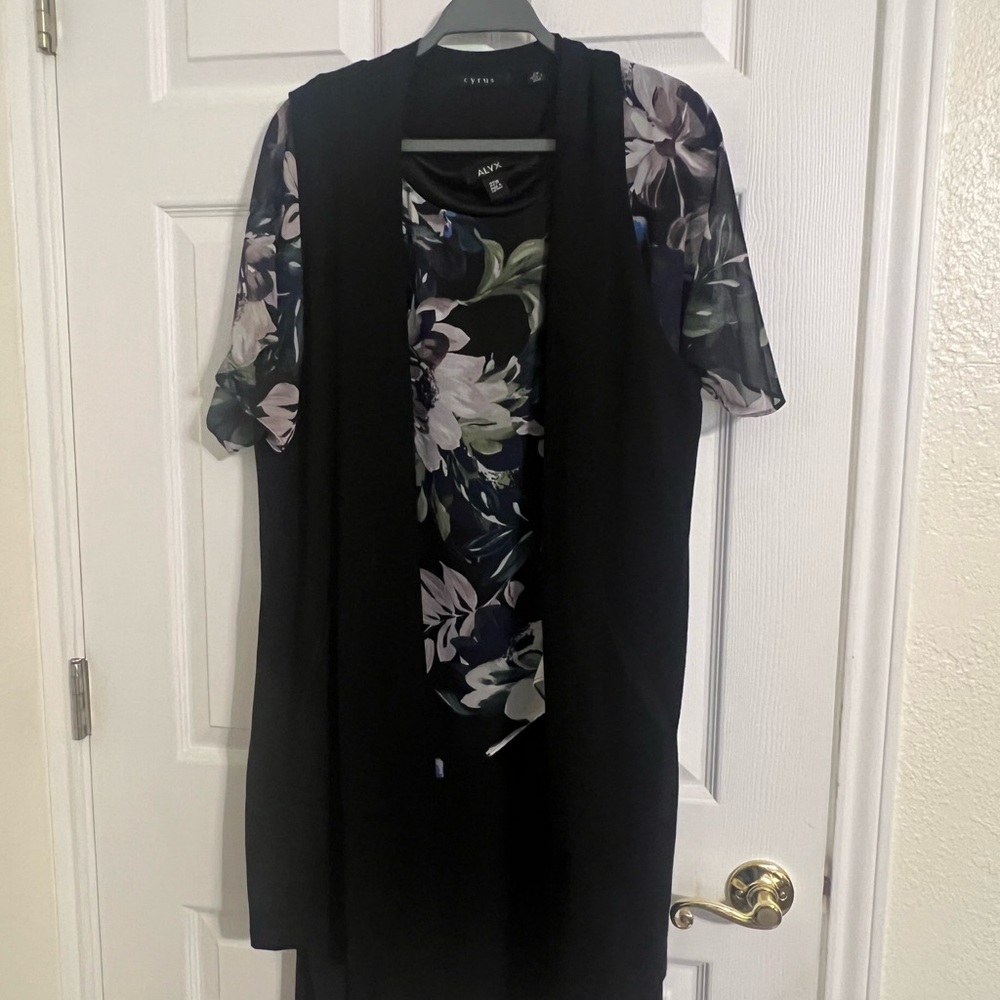 Alyx Women's Dress Size 22